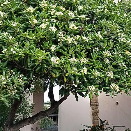 - Acces - Ascenseur - Parking - Fr-1-308-207 *