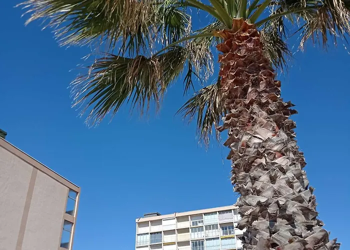 - Acces - Ascenseur - Parking - Fr-1-308-207 Appartement *