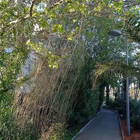 Appartement - Acces - Ascenseur - Parking - Fr-1-308-207 Le Lavandou