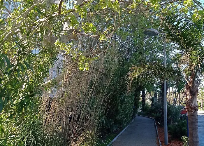 Daire - Acces - Ascenseur - Parking - Fr-1-308-207 Le Lavandou